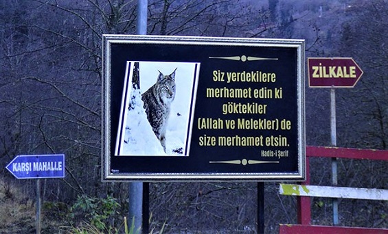 Çamlıhemşin’de Vaşağın öldürüldüğü yere hadis yazılı tabela koydular